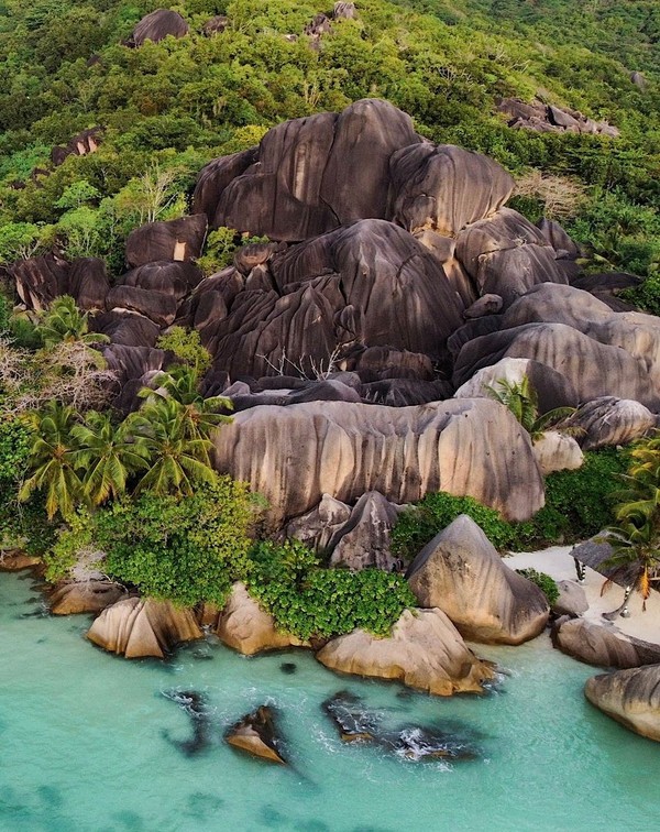 ladigue